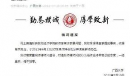 在线国产露脸精品视频,聚焦真实情感，展现生活百态